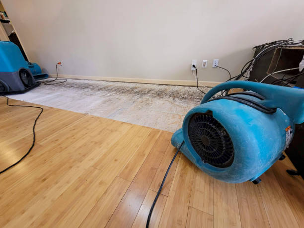 Professional Water Damage Repair technician working in Washington, UT